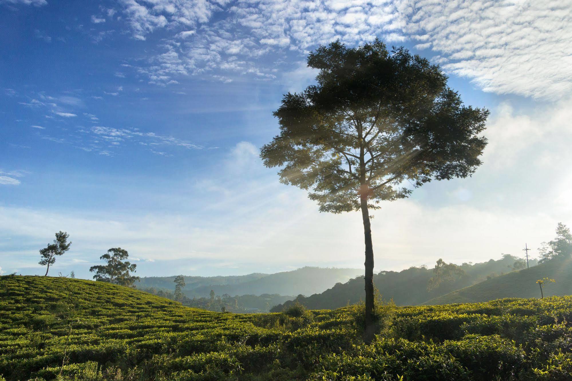 Kent Cottage Nuwara Eliya Exterior foto